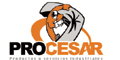 Procesar logo