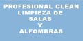 Profesional Clean Limpieza De Salas Y Alfombras logo