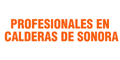 Profesionales En Calderas De Sonora