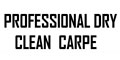 Professional Dry Clean Carpe logo