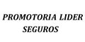 Promotoria Lider Seguros