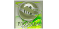 Prosolem logo