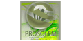 Prosolem