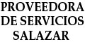 Proveedora De Servicios Salazar