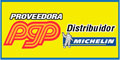 Proveedora Pgp logo