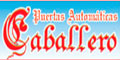 Puertas Automaticas Caballero logo