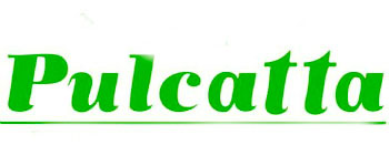 Pulcatta logo