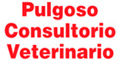 Pulgoso Consultorio Veterinario logo