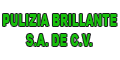 PULIZIA BRILLANTE SA DE CV logo