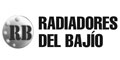 Radiadores Del Bajio logo