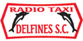RADIO TAXI DELFINES SC