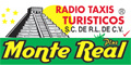 Radio Taxis Turisticos Monte Real Plus logo