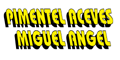 RECUPERADORA DE METALES PIMENTEL logo