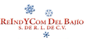 REINDYCOM DEL BAJIO S DE RL DE CV logo