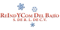 REINDYCOM DEL BAJIO S DE RL DE CV