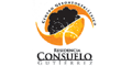 RESIDENCIA CONSUELO GUTIERREZ logo