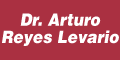 REYES LEVARIO ARTURO DR