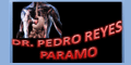 REYES PARAMO PEDRO DR