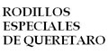 Rodillos Especiales De Queretaro logo