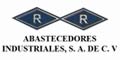 RR ABASTECEDORES INDUSTRIALES SA DE CV logo