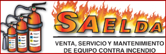 SAELDA I MEXICO logo