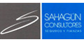 Sahagun Consultores logo