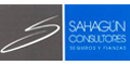 Sahagun Consultores