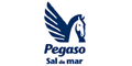 SAL PEGASO