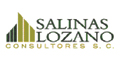 SALINAS LOZANO Y ASOCIADOS CONSULTORES S.C.