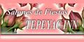 Salones De Fiestas Tepeyac Inn