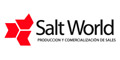 Salt World