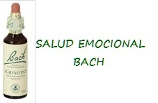 Salud Emocional Bach 24 horas logo