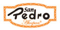 SAN PEDRO ACTOPAN logo