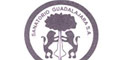 Sanatorio Guadalajara logo