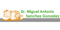 SANCHEZ GONZALEZ MIGUEL ANTONIO DR logo
