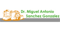 SANCHEZ GONZALEZ MIGUEL ANTONIO DR