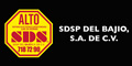 Sdsp Del Bajio S.A. De C.V. logo