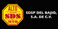 Sdsp Del Bajio S.A. De C.V.