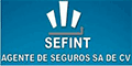 Sefint Agentes De Seguros Sa De Cv logo