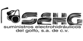 Sehg Sa De Cv logo