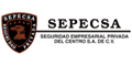 Sepecsa logo