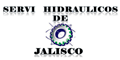 Servi Hidraulicos De Jalisco logo