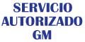 Servicio Autorizado Gm