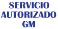 Servicio Autorizado Gm