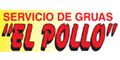 SERVICIO DE GRUAS EL POLLO logo