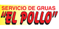 SERVICIO DE GRUAS EL POLLO