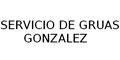 Servicio De Gruas Gonzalez logo