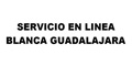 Servicio En Linea Blanca Guadalajara logo