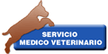 SERVICIO MEDICO VETERINARIO