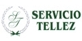 Servicio Tellez logo